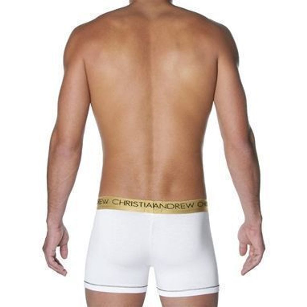 Мужские трусы боксеры белые Andrew Christian Infinity Boxer White  AC26