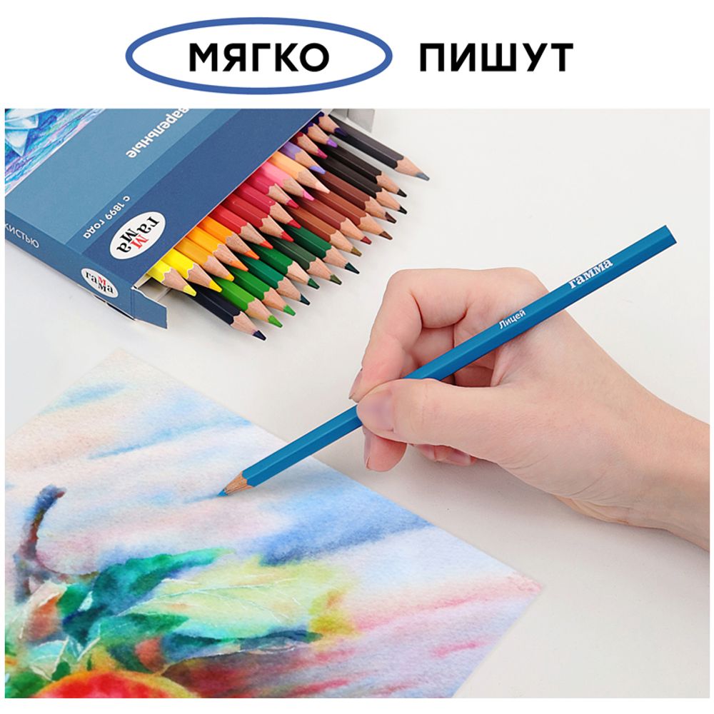 Карандаши акварельные 36 цв. Гамма Лицей + кисть