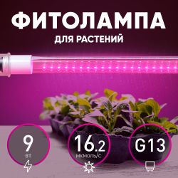 Фитолампа для растений светодиодная ЭРА FITO-9W-RB-Т8-G13-NL и мясных прилавков 9 Вт Т8 G13 красно-синего спектра | Фитолампы T8