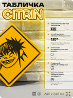 Табличка декоративная "Gorillaz, Нудл, Noodle" на дверь и стену, прикольная штука в подарок, декоративный знак, 24,5х24,5 см, пластиковая, Айдентика Технолоджи