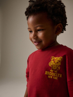 Толстовка для мальчика Next N71-064, Красный