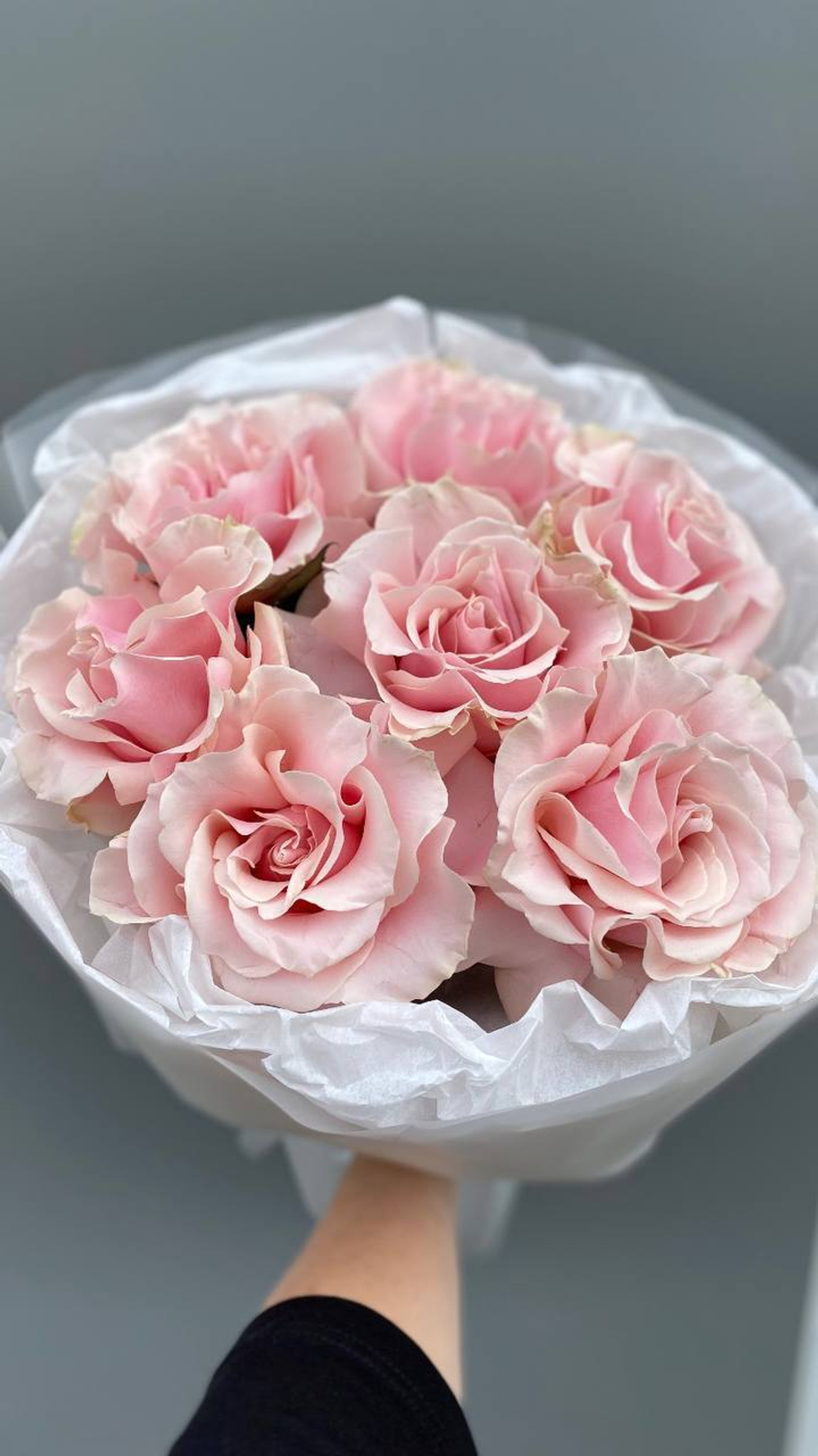 Французская роза нежность