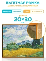 Металлическая багетная рама 20х30 см