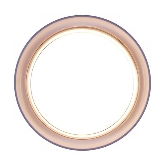 81151-9.5-001QL WH светильник настенный