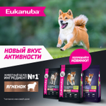 Сухой корм Eukanuba для взрослых собак крупных и очень крупных пород старше 1 года с ягненком 3 кг