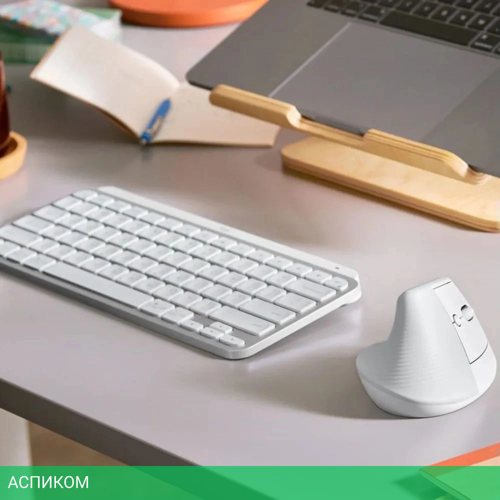 Мышь Logitech Lift белый (910-006486)