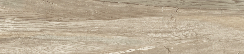 Вандервуд / Wonderwood