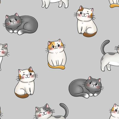 Котики