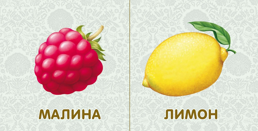 Книжки - картонки. Фрукты и овощи