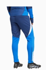 Штаны adidas Tiro 24 Competition Winterized - синий