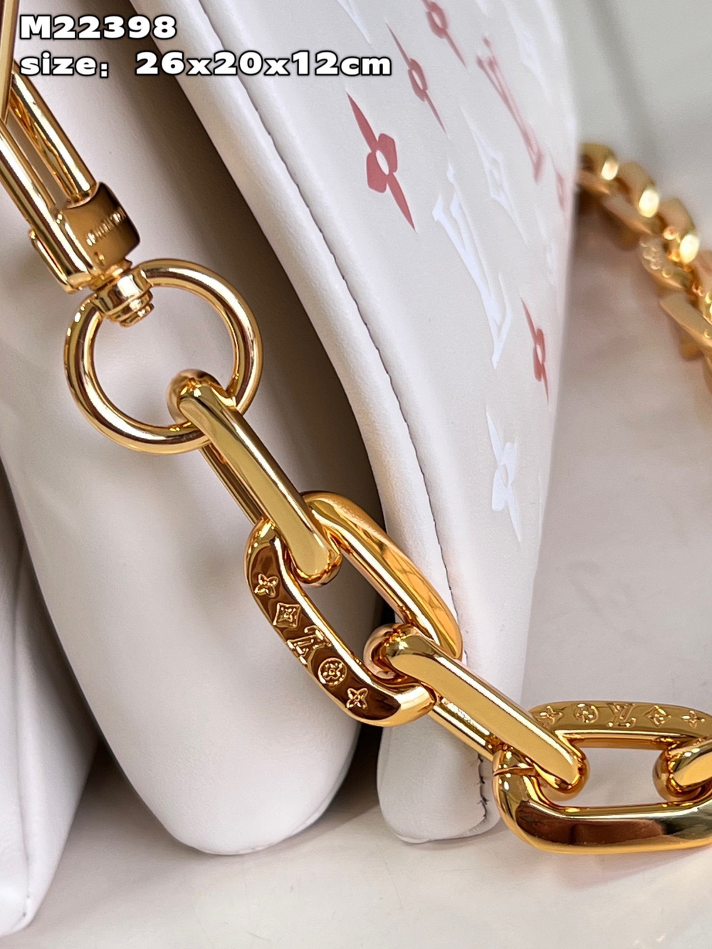 Louis Vuitton Coussin PM