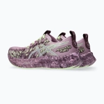 Женские Кроссовки для бега Asics Noosa Tri 16 Hazy Lilac/Dark Prune