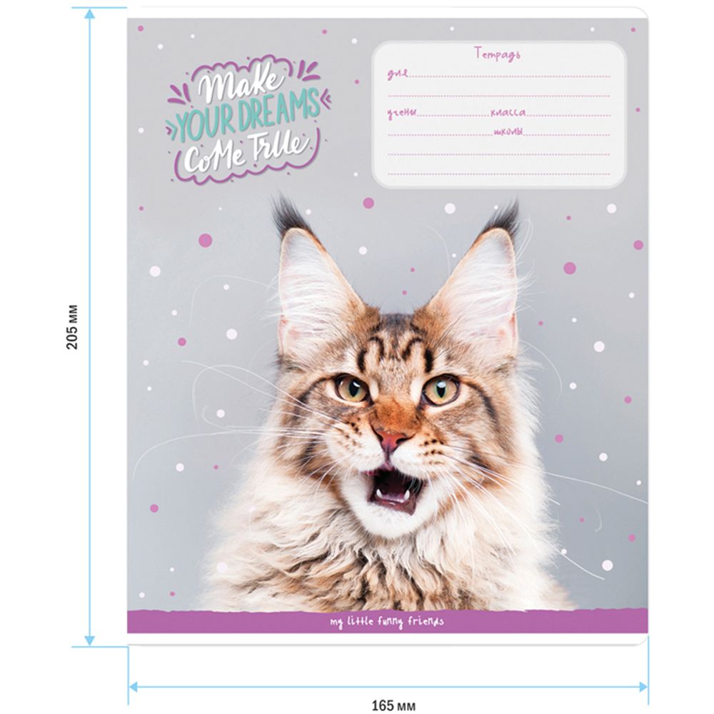 Тетрадь 18л, линия, Спейс Питомцы. Funny cats