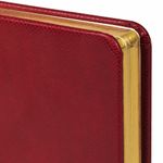 Ежедневник недатированный МАЛЫЙ ФОРМАТ 100x150 мм А6 BRAUBERG "Iguana", под кожу, 160 л., красный, 114468