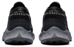 Кроссовки Nike Pegasus Trail 2 (Женская размерная сетка)