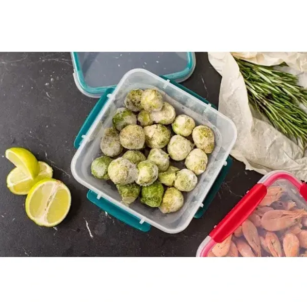 Контейнер для продуктов 0,8л «BUTTERFLY» хвоя