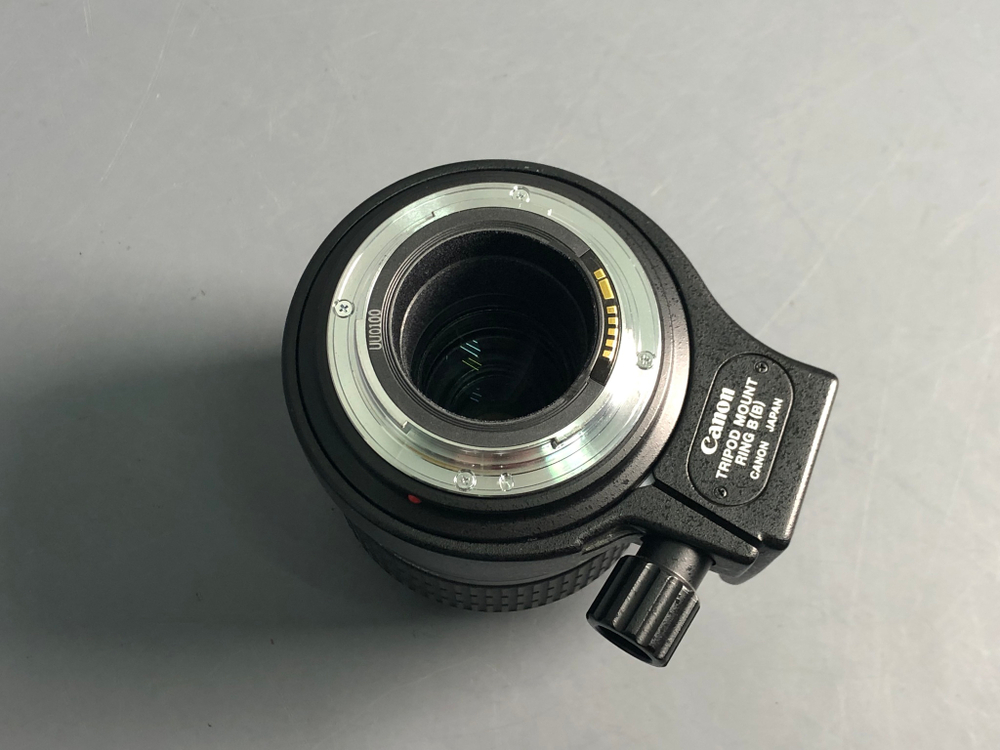 Canon MP-E 65mm 2.8 1-5x Macro Photo