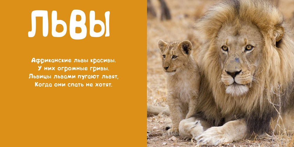 Мои животные