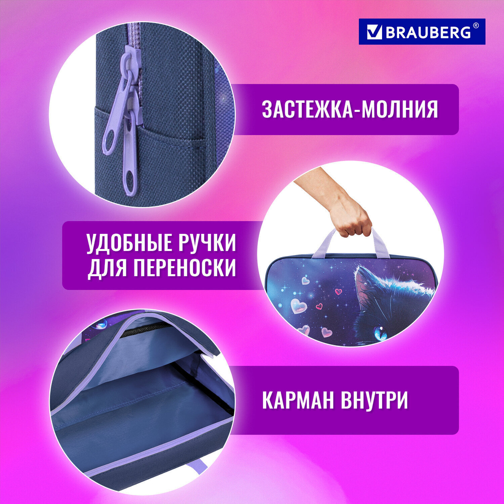 Папка на молнии с ручками BRAUBERG А4 1 отделение полиэстер 80 мм "Anime cat" (2 штуки в упаковке)