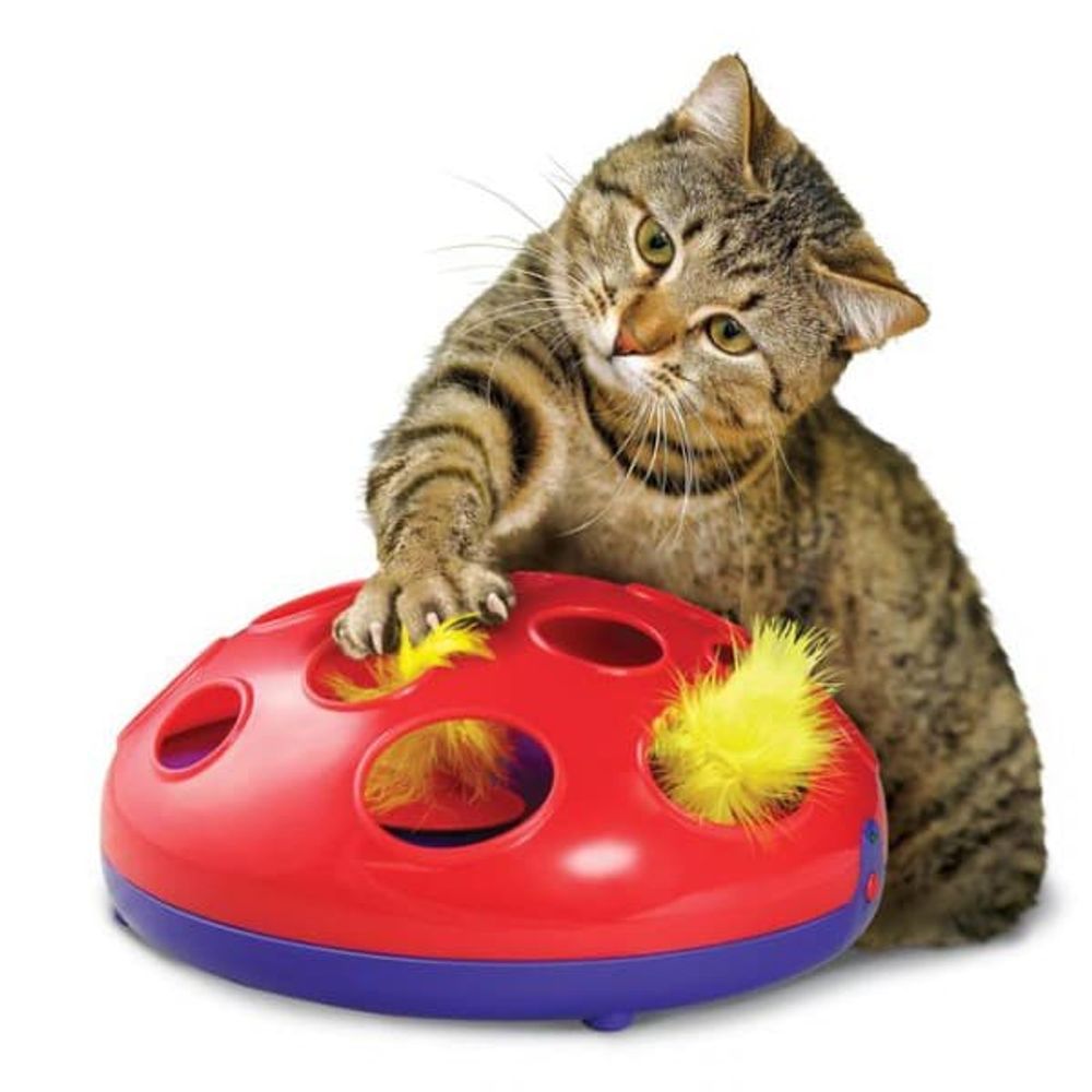 Kong игрушка трек для кошек Glide 'n Seek трек на батарейках