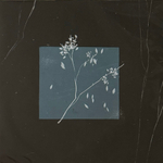 Bird Bone ‎– Лейтмотив (Россия 2024г.)