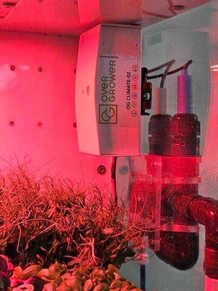 Гидропонная ферма