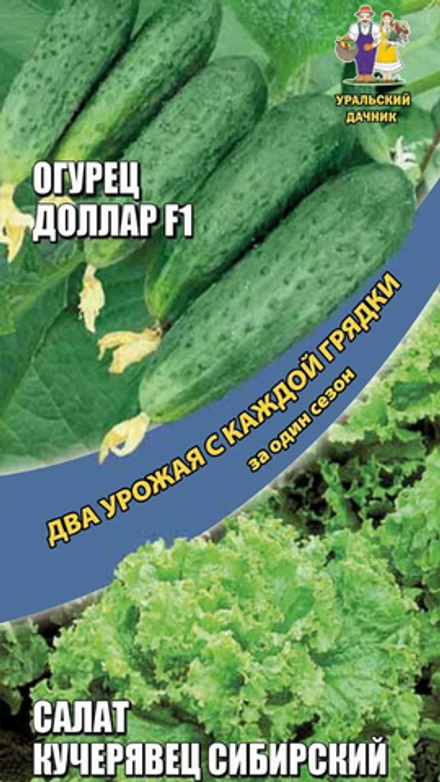 ДВА УРОЖАЯ!!! "G. Доллар F1 8шт + Салат Кучерявец Сибирский 0,25г", Россия.