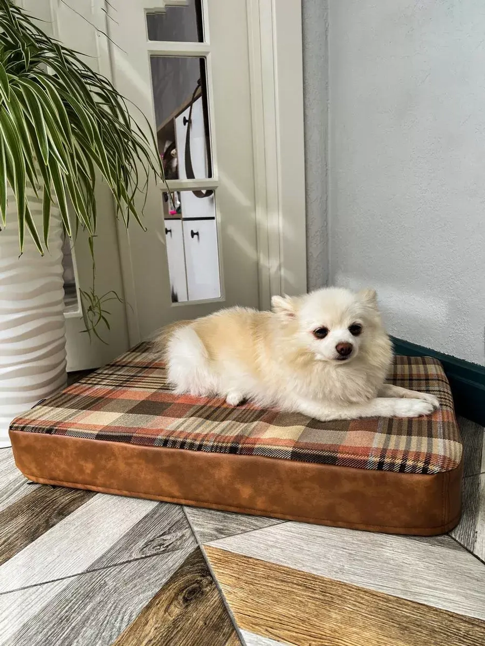 Лежак для собак ортопедический 70*50см