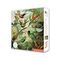 Pazl / Пазлы /Puzzles Adult Sustainable Jigsaw Puzzle V&amp;A: Hummingbirds