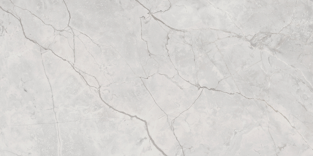 Connect Gris Керамогранит серый SG50002922R 59,5х119,1 полированный