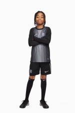 Шорты Nike PSG 25/26 Goalkeeper Stadium Junior - черный