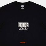  Футболка мужская Dickies Philipsburg артикул:DK0A863FBLK1 - купить в магазине Дайс