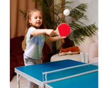 Теннисный стол DFC 48&amp;quot; 122 x 76 см