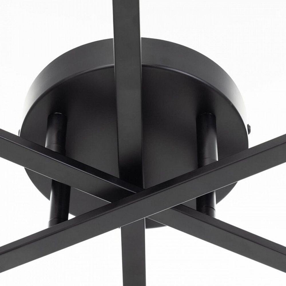 Потолочная люстра Citilux Glob CL209261