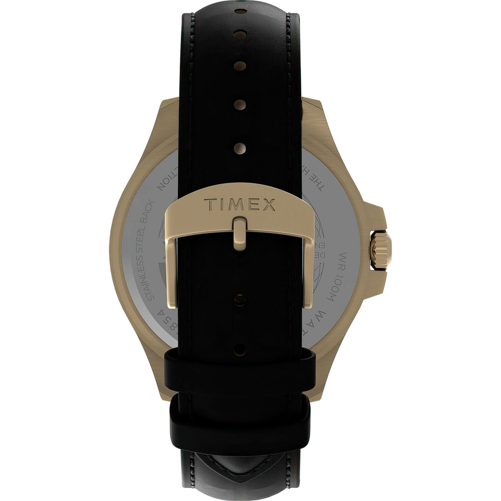 Мужские наручные часы Timex TW2V42200