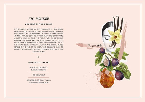 You First Pura Rinascita Fig Poudre