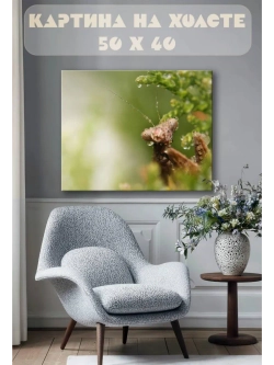 Картина на стену 40 X 50 Насекомое