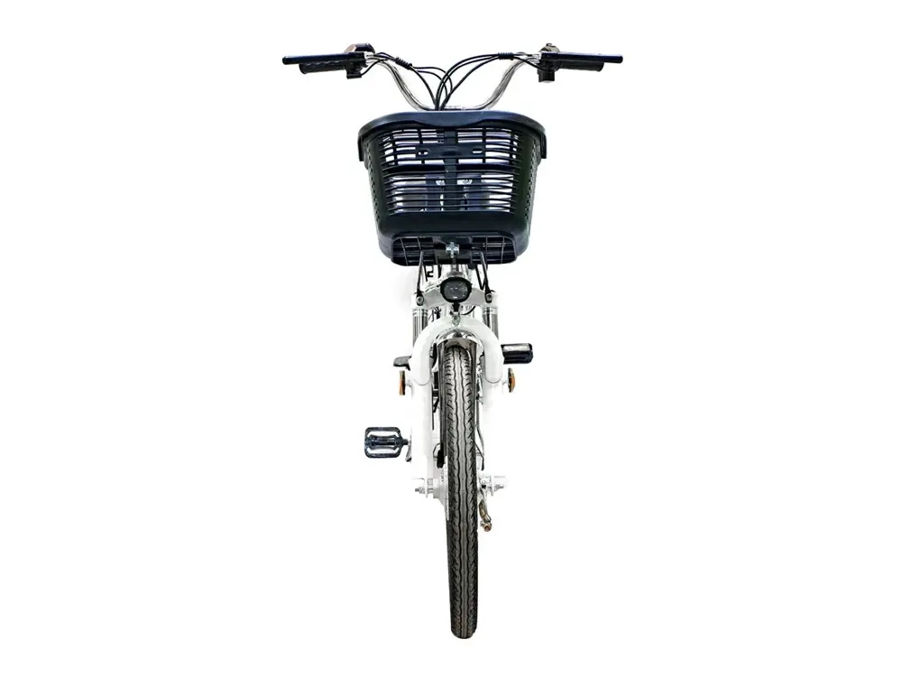 Электровелосипед Green Camel Транк-20 V2 (R20 250W) Алюм, редукторный