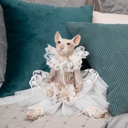 Кукла коллекционная Кошка Майя