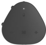 Умная колонка Sonos Roam черный
