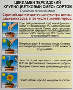 Цикламен Крупноцветковый, смесь сортов СМЦ-365