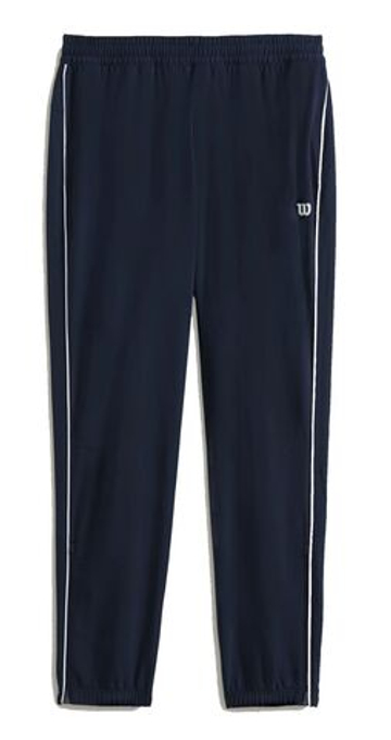 Мужские теннисные штаны Wilson Team Pant - небесный