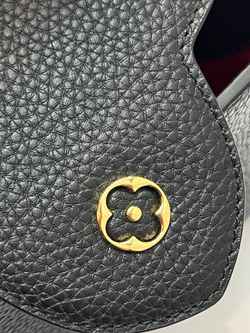 Сумка Louis Vuitton Capucines