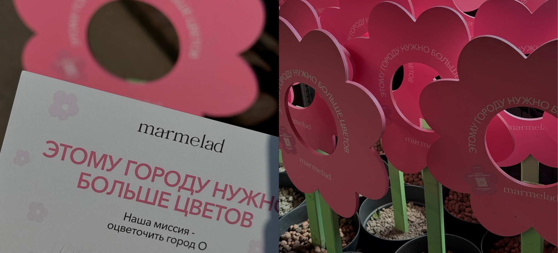 цветочный джекпот