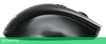 Мышь Acer OMR030 черный (ZL.MCEEE.007)