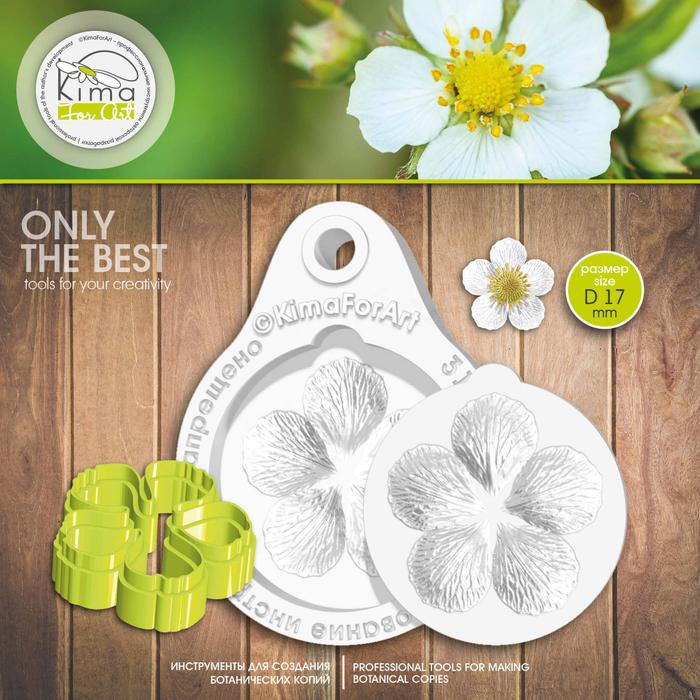 Клубника | земляника цветок средний