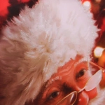 Пакет подарочный «Зимняя история» 26*32*10 см, микс