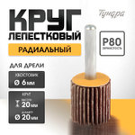 Круг лепестковый радиальный ТУНДРА, 20×20×6 мм, Р80