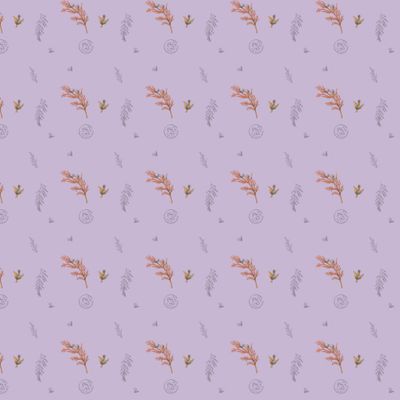 Сухоцвет Туя