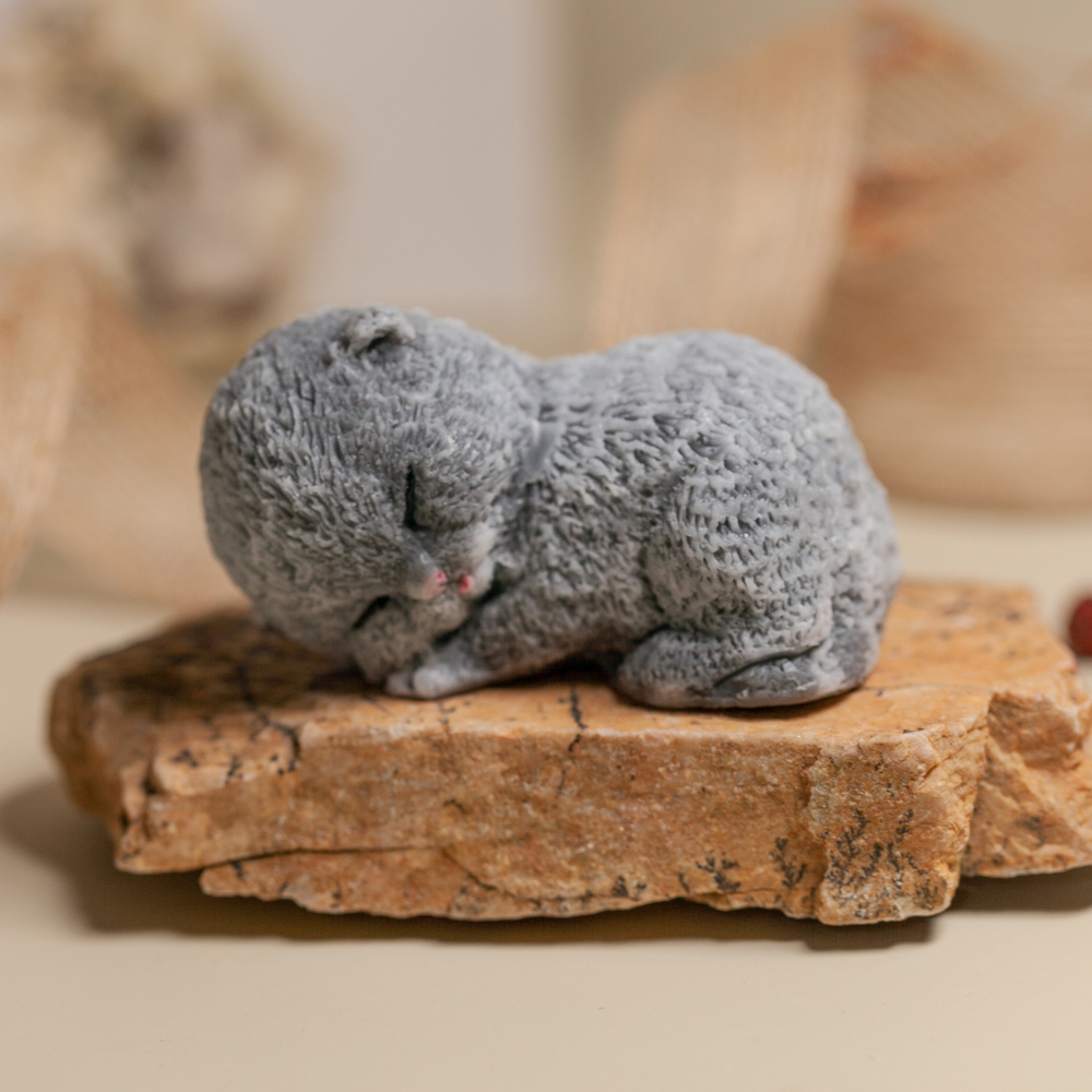 Котенок Пушок